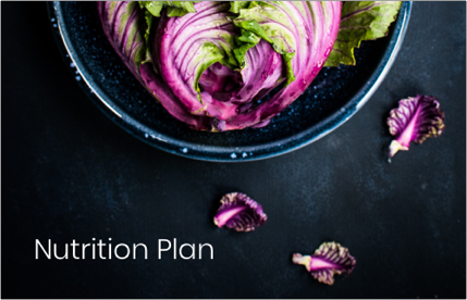 nutrition plan.png